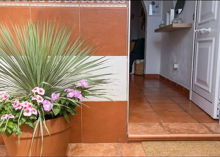 Harmony Views With Terrace בית נופש